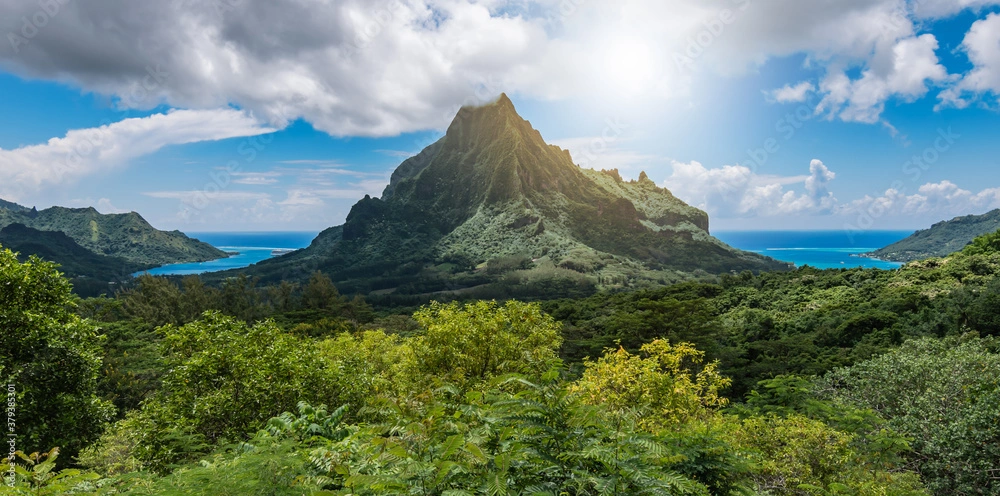 Moorea ATV Fun Tours