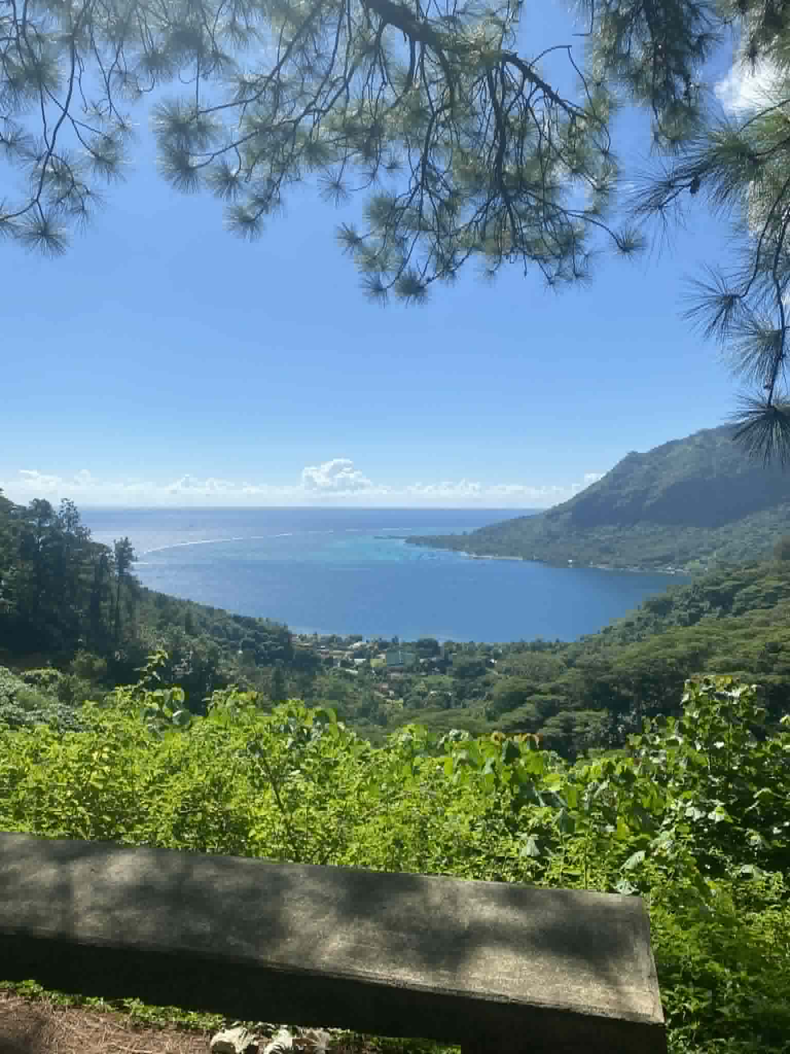 Montagne magique